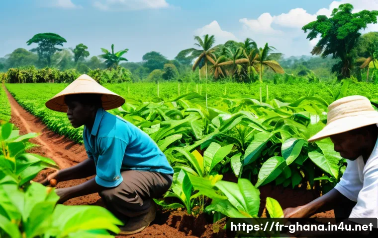 가나 주요 산업 및 수출 품목 - A vibrant Ghanaian cocoa farm scene during harvest season, featuring cooperative smallholder farmers...